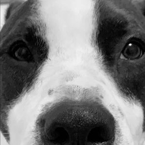 Meet your Posher, Gabby